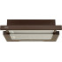 Потужна витяжка ELEYUS BREEZE 470 50 BR